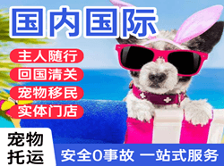 台州路桥航空托运国际宠物托运 【国